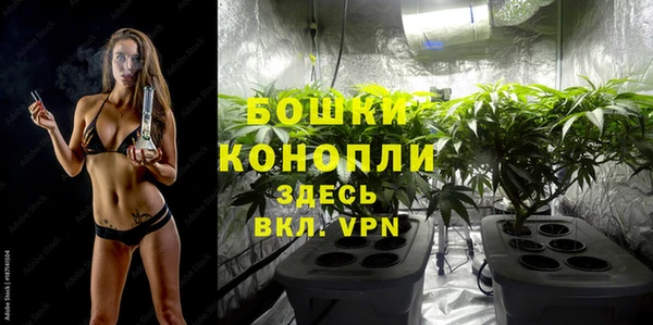 ALPHA PVP Горно-Алтайск