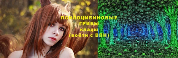 МДПВ Гусь-Хрустальный